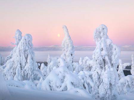 Winterurlaub im Skiort Levi