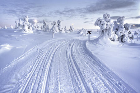 Motorschlittenwege durch die verschneite Landschaft