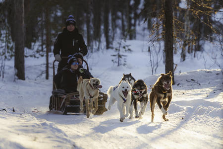 Huskyschlittenfahrt