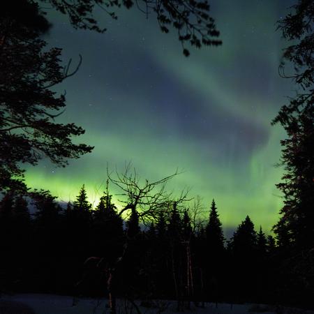Polarlichter über Pikku-Syöte