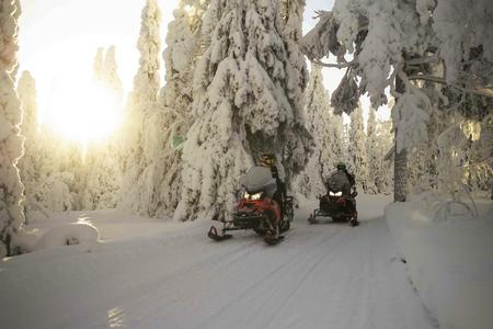Motorschlittensafari durch die Winterlandschaft Nordfinnlands