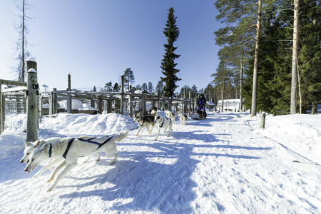 Huskytour Komfort