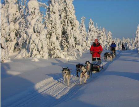 Huskysafari