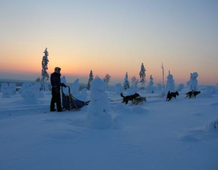 Huskysafari