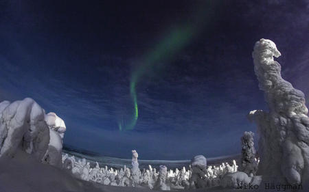Polarlichter über der Schneelandschaft